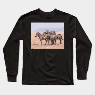 Serengeti Zebras #4 Long Sleeve T-Shirt